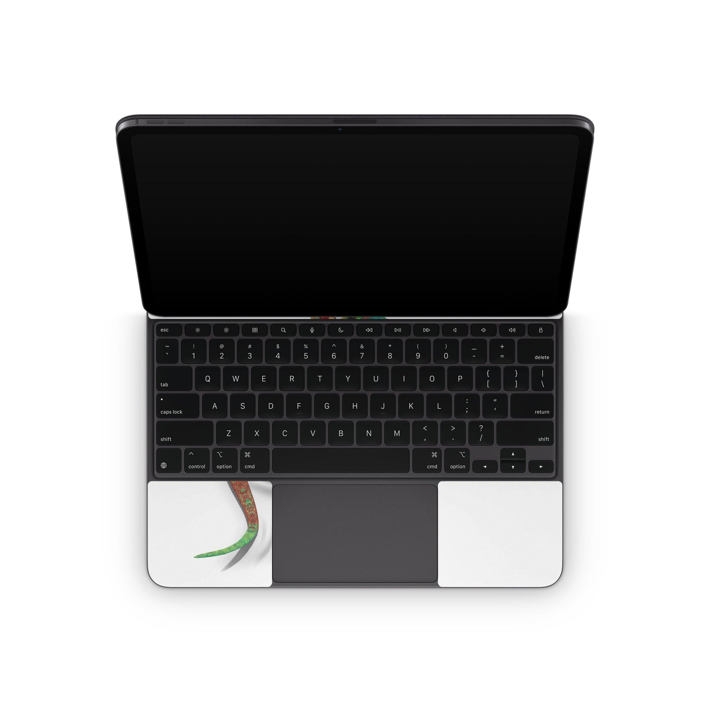 Gecko - Apple Magic Keyboard for iPad Skin