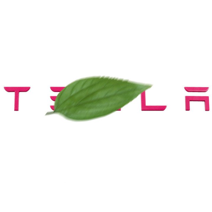 Tailgate Lettered Rear Logo Replacement For Tesla Model 3/Y