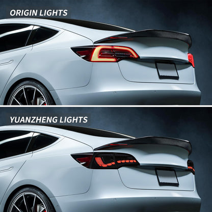 TESERY Dragon Scale Tail Lights for Model 3/Y