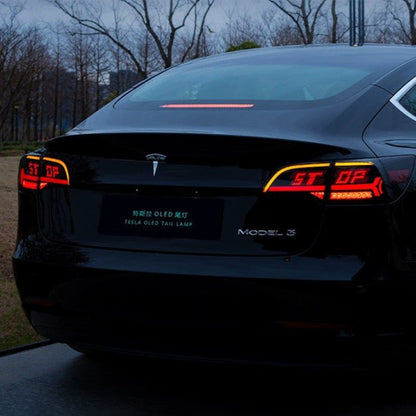 TESERY OLED APP-Controlled Tail Light for Model 3/Y